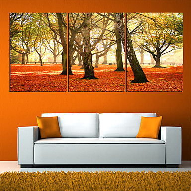 Stretched Canvas Print Canvas Set Botanical Three Panels Horizontal ...